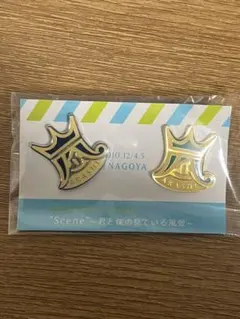 嵐　ピンバッジ