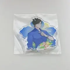 Honey Vibes ハニヴ フィン WonderGOO アクスタのサムネイル