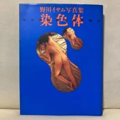 染色体 野川イサム写真集