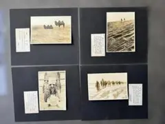 2026年最新】蒙古王の人気アイテム - メルカリ