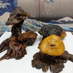 自然木加工素敵なインテリア飾りオブジェ３点セットコレクション