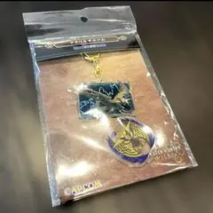 モンスターハンターワイルズ アクリルチャー レ・ダウ