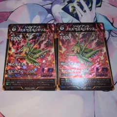 蟲神器　ジャイアントテキサスキリギリス2枚