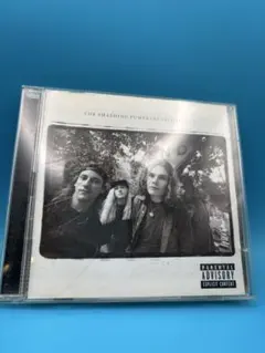 THE SMASHING PUMPKINS プロモ盤レコード 12インチ レア - メルカリ