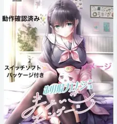 2026年最新】【Switch】制服カノジョ1・2・まよいごセットの人気