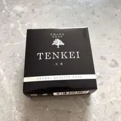 天恵石鹸　TENKEI QUALITY SOAP 80gのサムネイル