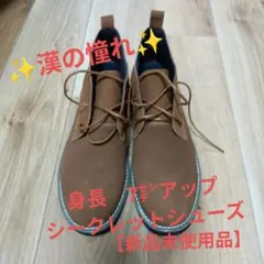 シークレットシューズ【7㌢アップ】サイズ　28〜29㌢のサムネイル