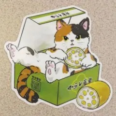 【LOCAL LIMITED B-SIDE LABEL】 熊本限定 からし蓮根猫