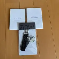 MAP OF THE SOUL TOUR JIMIN キーホルダーとフォトカード