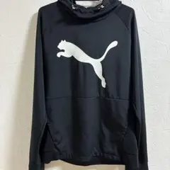 プーマパーカービックロゴ、Ｍ メンズ、レディース，綺麗，美品