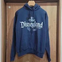 ディズニーリゾート