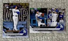 Item thumbnail for item 90fbdd13-7e72-43a6-b0fa-1557813d33b3