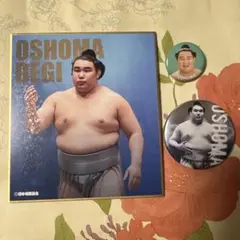 大相撲　欧勝馬　缶バッジ　力色紙　セット