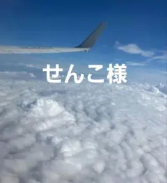 せんこ様