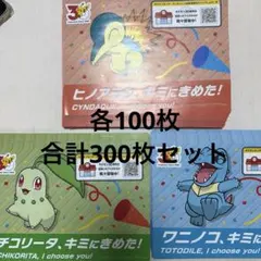 ポケモンセンター　フライヤー 300枚セット 3種類各100枚