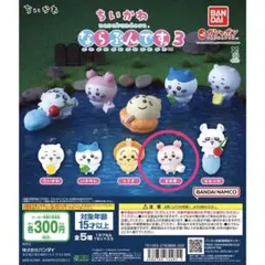 ちいかわ ならぶんです3