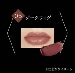 一度使用 KATE リップモンスター 05 ダークフィグ 口紅