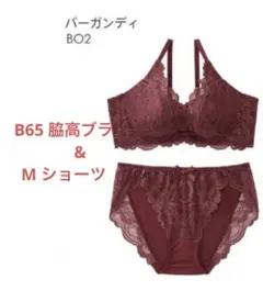 【上下セット】　エメフィール　脇高　ブラジャー　ショーツ　ボルドー　赤　B65