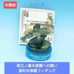 未開封）希少【海洋堂】ナイトアクアミュージアム クリオネ 解説書付き