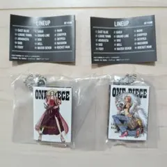 ONE PIECE Log Collectionミニチュアチャーム　ナミ　ビビ
