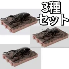 オンライン限定 いきもの大図鑑 くわがた11 樹皮台座（小）付き 3種セットのサムネイル