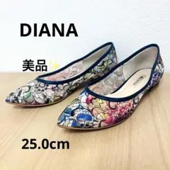 極美品 ダイアナ 絵画シリーズ 葛飾北斎 レースパンプス マルチカラー 23.5 極美品 ダイアナ 絵画シリーズ 葛飾北斎 レースパンプス マルチカラー
