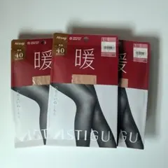 Atsugi 40デニール 暖タイツ L-LLサイズ　3つセット