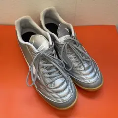 ミズノ モナルシーダ ネオ シルバー 屋内用