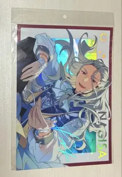 元TENRIN 雅なぎ 生誕祭2026 受注チェキホルダー - メルカリ