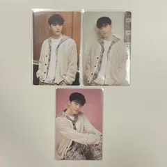 2024 CARAT LAND ケレン トレカ ディノ