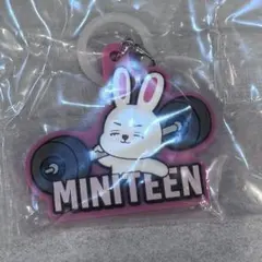 miniteen めじるしアクセサリー エスクプス