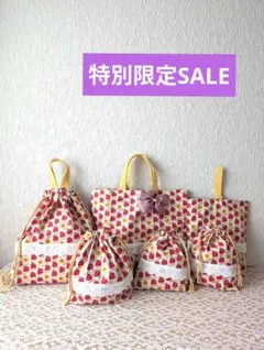 入学入園6点セット、女の子、レッスンバック☆上履き袋☆体操着袋、お弁当袋、苺柄