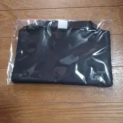 &TEAM エンティーム ファンクラブ入会特典 サコッシュ おまけ付き