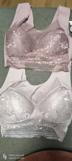 Item thumbnail for item bda2185d-bf97-40b4-8bf1-d9269bc7ea02