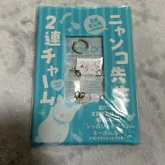 ニャンコ先生２連チャーム