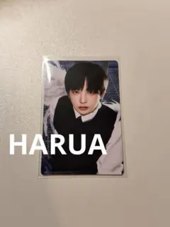 &TEAM ハルア　HARUA Back to Life フォトカードB