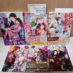 TL小説　ヤンデレ魔法使いは石像の乙女しか愛せない クレイン　６冊セットのサムネイル