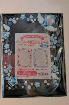 サンリオ 硬質フォトケース ハンギョドン