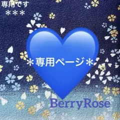 ＊ぷうあ様専用