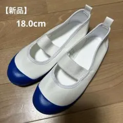 【新品】18.0EE MOONSTAR ストラップ付き上履き シューズ　ブルー