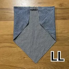 Item thumbnail for item 482ac303-bc27-4f87-9ca9-6fb55ff53ac9