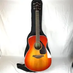 YAMAHA FS820 어쿠스틱 기타 케이스 카포타스트 첨부