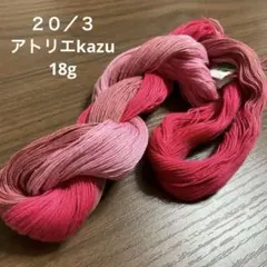 Item thumbnail for item 39428394-7c7f-4ed0-98ef-311038848230