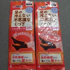 桐灰化学 足の冷えない不思議なくつ下 レギュラーソックス 超薄手 ２足セット
