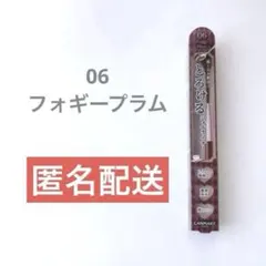 【新品未開封】キャンメイク クリーミータッチライナー06 フォギープラム