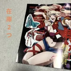 雑誌 切り抜き マクロスF A②