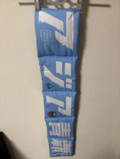 Item thumbnail for item e11e12a8-bbf8-4247-8388-ac7c7c4aaa06