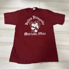 Velva Sheen 半袖 Tシャツ バーガンディ Lのサムネイル