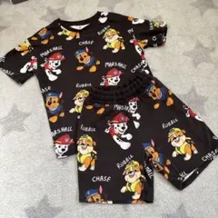 Ｈ&Ｍパウパトセットアップ120センチ