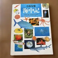 Item thumbnail for item 2dd796fa-4707-4836-afaf-ad47c55a33f3